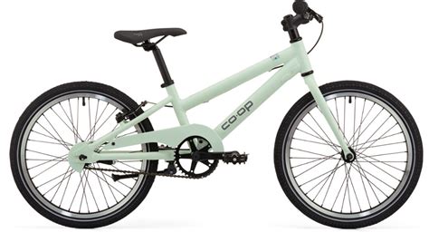 19 for delivery before Dec. . Coop cycles rev 20 kids bike